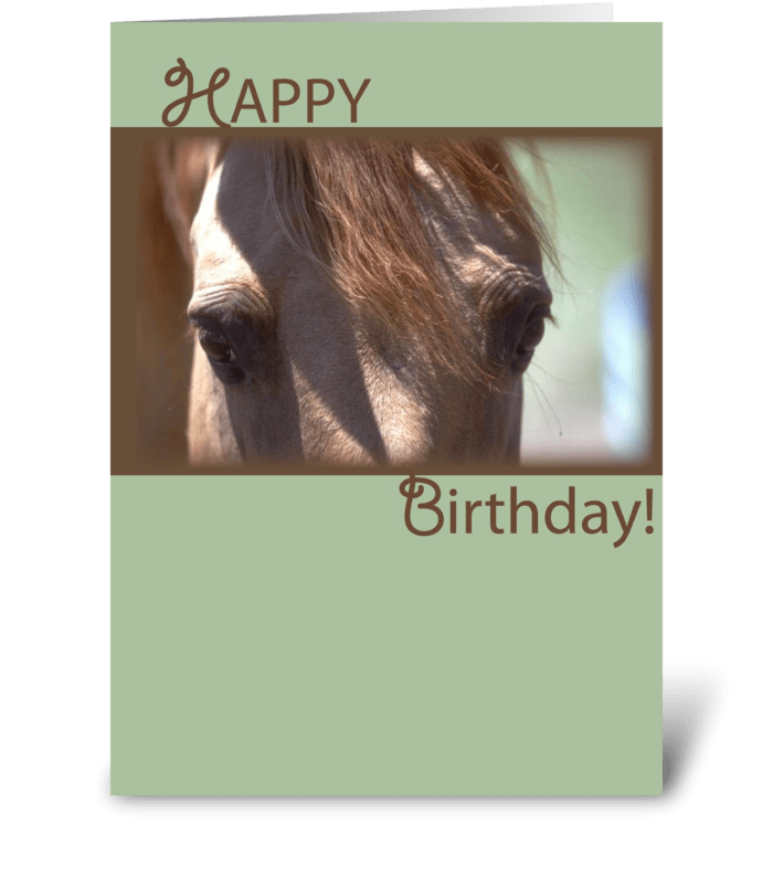 4340 Horse Eyes Birthday greeting card