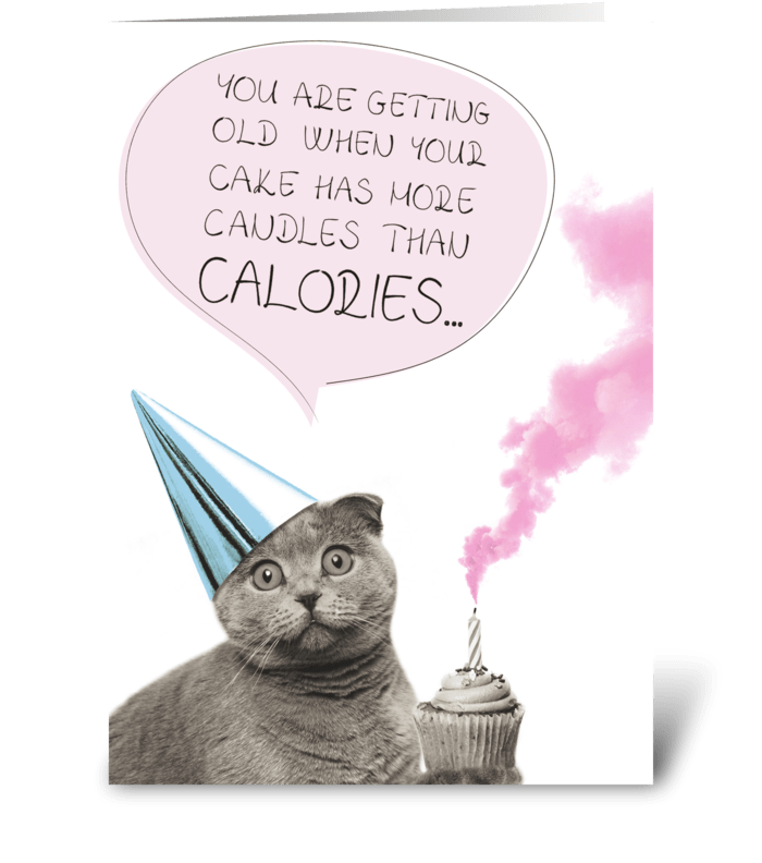 Birthday cat greeting card