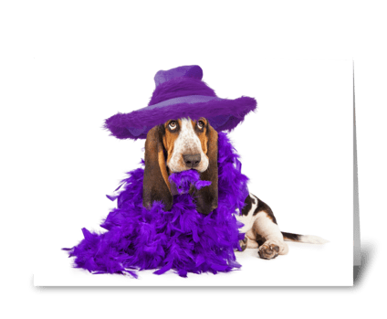 Funny Dressed Up Basset Hound Dog greeting card