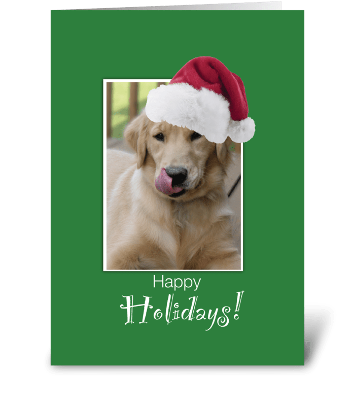 To Dog Walker at Christmas, Retriever greeting card