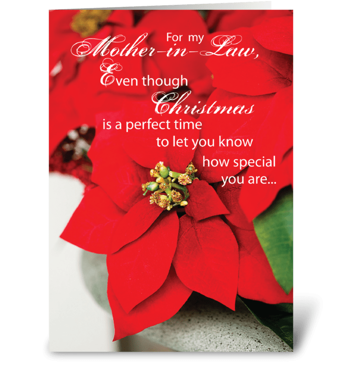 Mother-in-Law Christmas Poinsettia greeting card