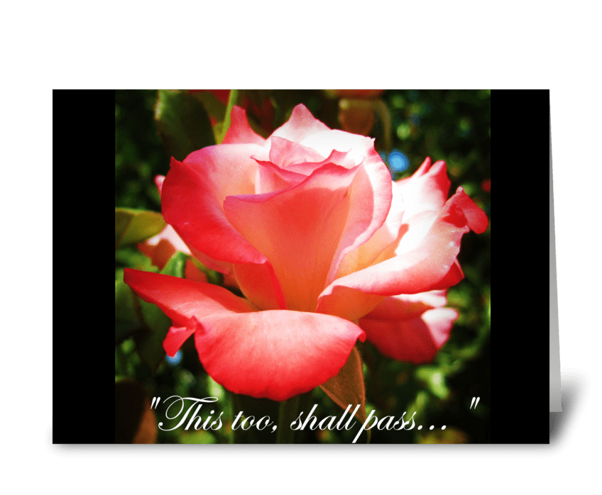 Rose Sympathy Card greeting card