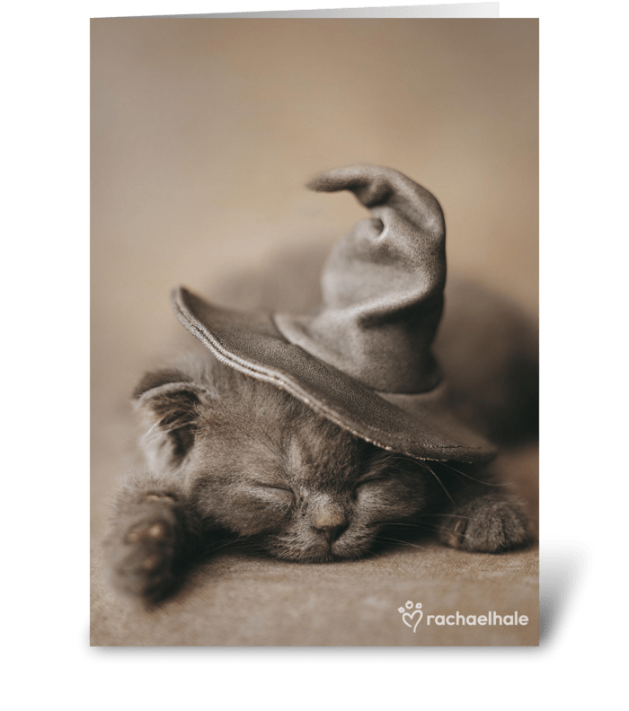 Halloween Kitten in Witch Hat greeting card