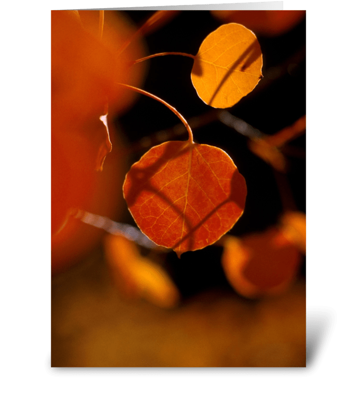 Fall Delight greeting card