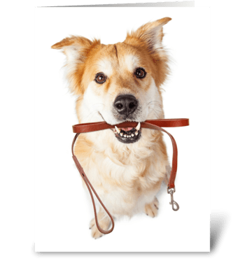 Dog Sitter Thank You Card greeting card