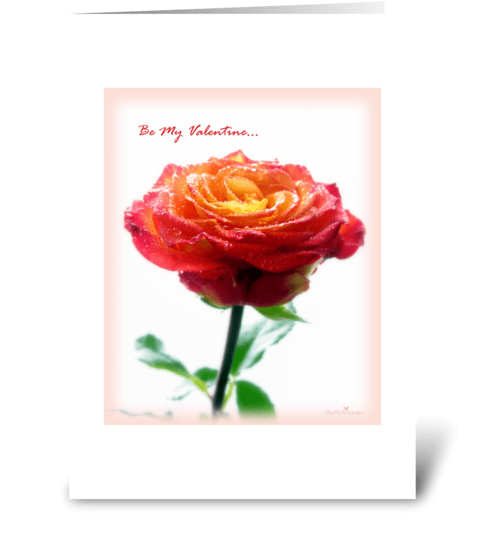 Orange rose greeting card