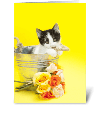 Brighten Your Mother's Day Kitten greeting card
