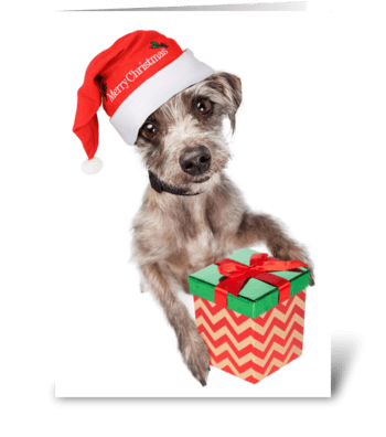 Cute Dog Delivering Christmas Gift greeting card