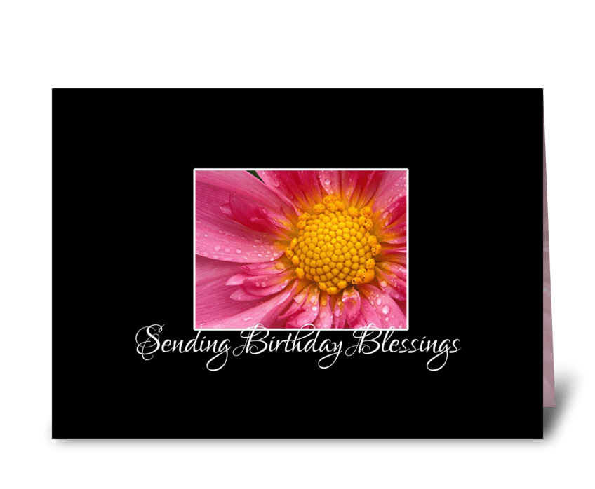 Pink Flower Birthday Blessings greeting card