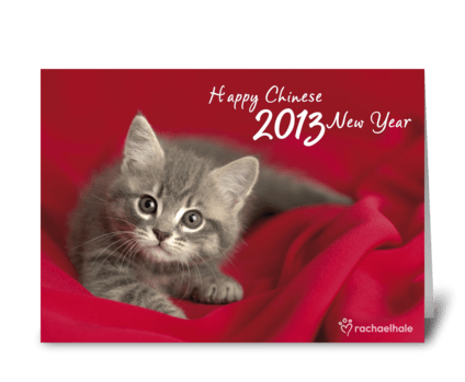 Happy Chinese New Year 2013 greeting card