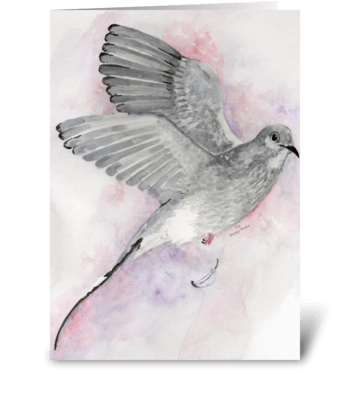 Gray Dove greeting card