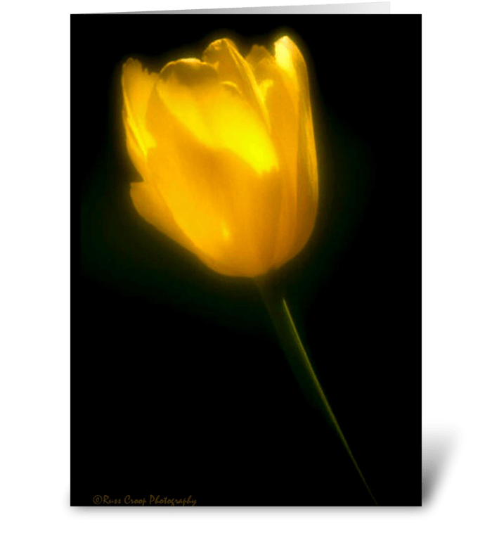 Yellow Tulip greeting card