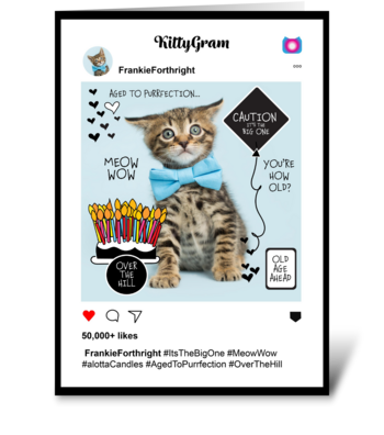 ItsThe Big One KittyGram greeting card