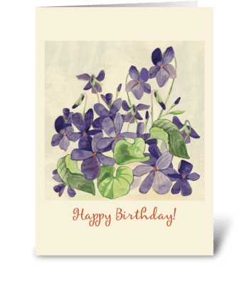 Birthday-floral-violets greeting card