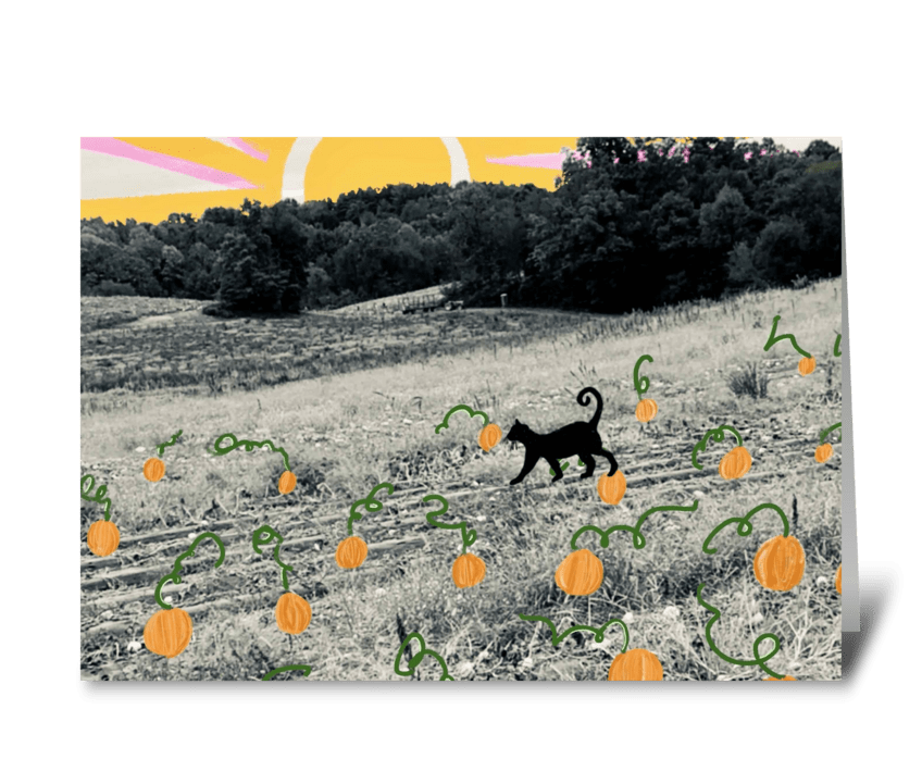 Black Cat in the Pumpkin Patch greeting card