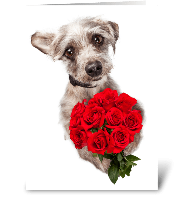Cute Dog Delivering Flowers All Purpose  greeting card