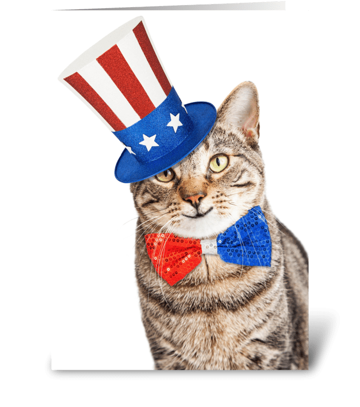 Funny American Patriotic Cat greeting card