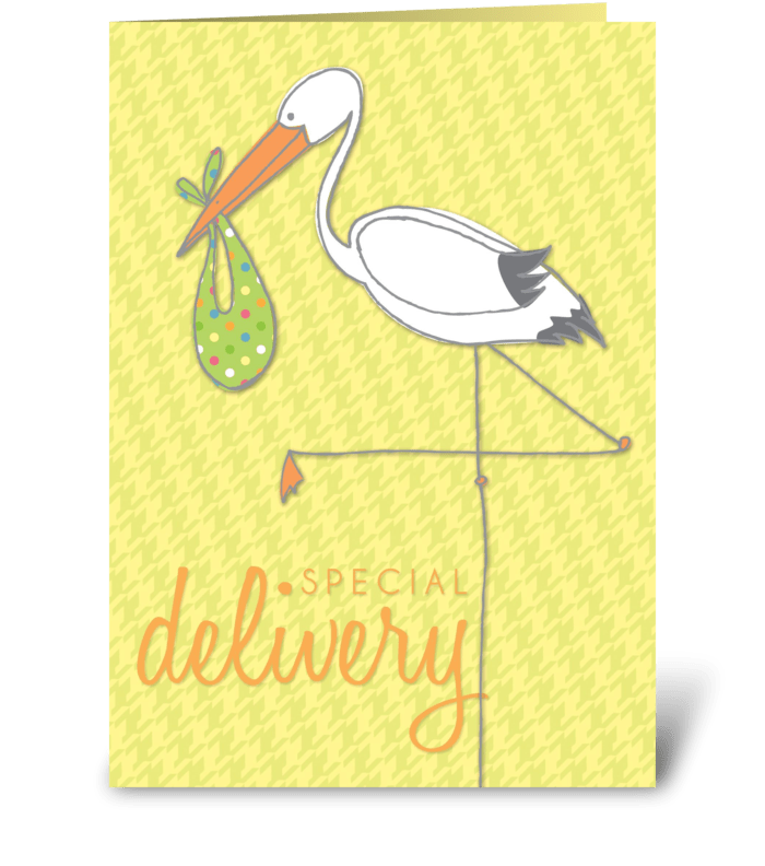 Special Delivery Stork greeting card