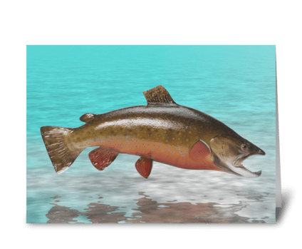 Brook Trout greeting card