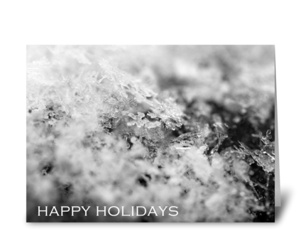 Happy Holidays (On Ice) greeting card
