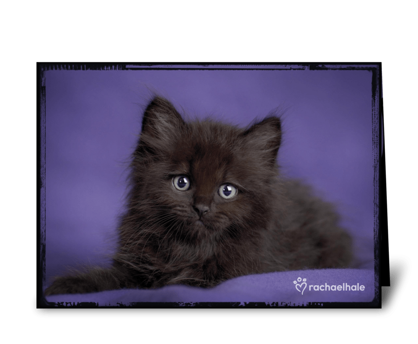 Halloween Kitten greeting card