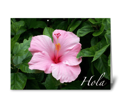 Hola/Hello greeting card
