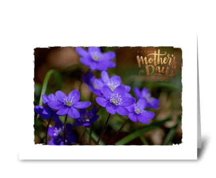 floral mothers day  greeting card