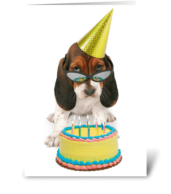 Sunny Beagle's 10th Birthday  greeting card