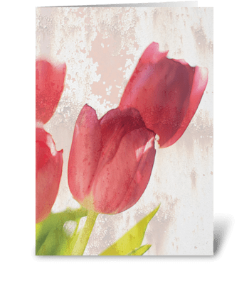 Red Tulips greeting card