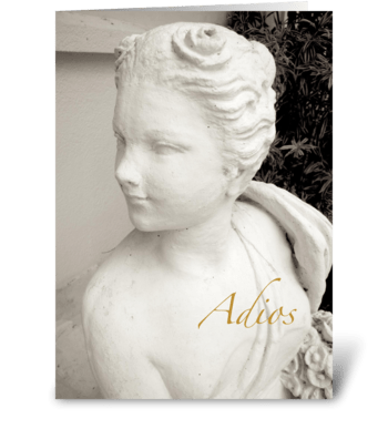 Adios/Goodbye greeting card