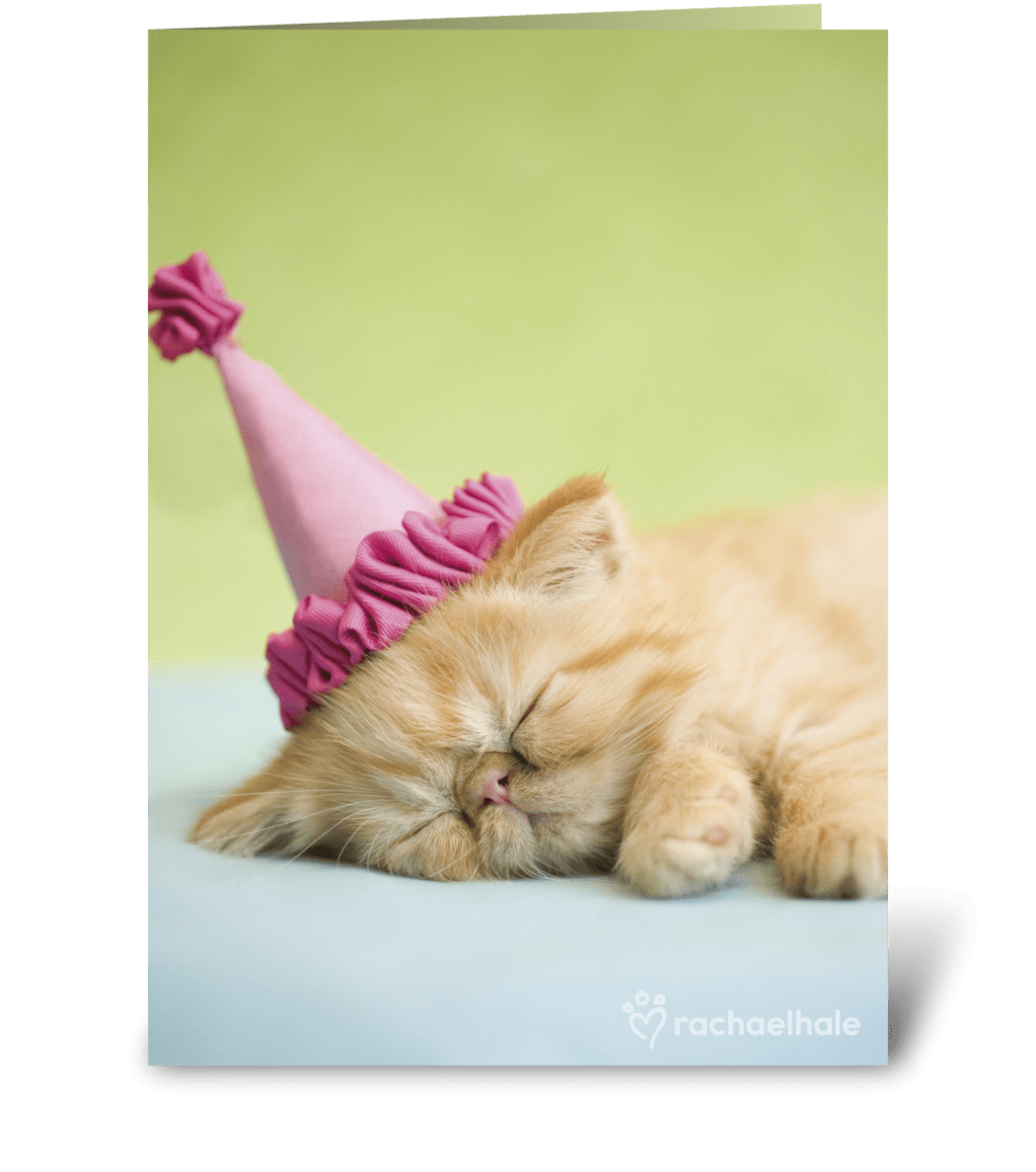 Happy Birthday Kitten in Party Hat - Send this greeting card designed by Rachael Hale® - Card Gnome