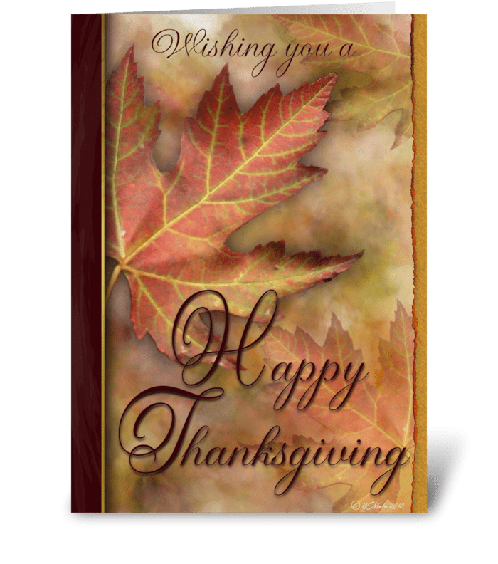 A Thanksgiving Wish Greeting Card greeting card
