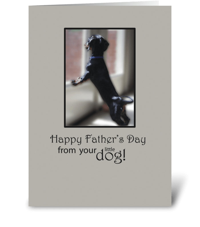 Father's Day From Little Dog in Window greeting card
