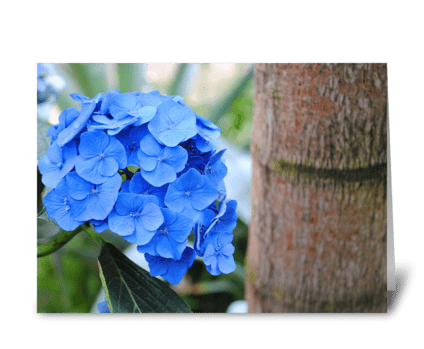 Blue Hydrangea greeting card