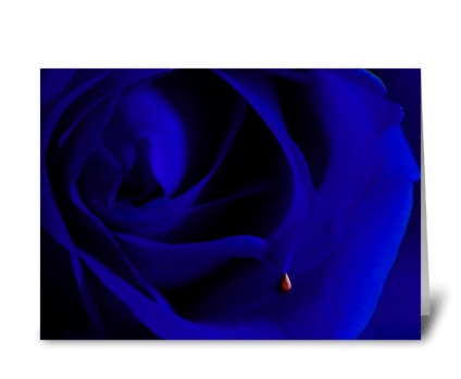 Blue Rose greeting card