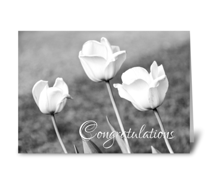 Engagement Congratulations White Tulips greeting card