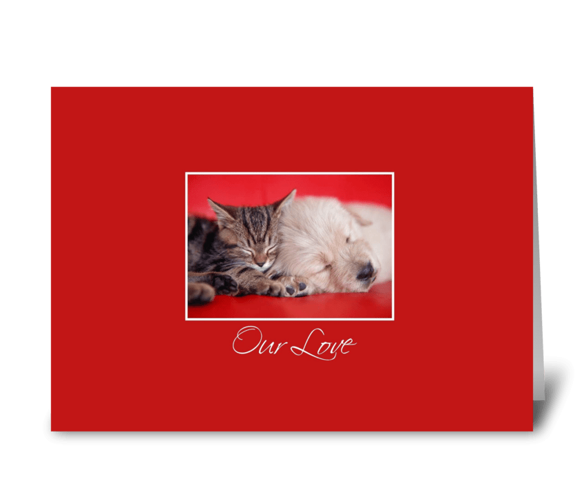 Our Love, Cat & Dog greeting card