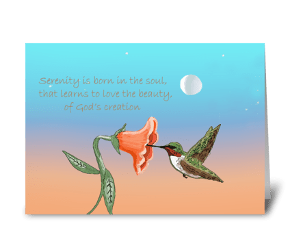 Hummingbird at dusk greeting card