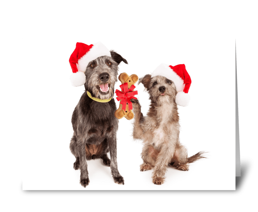 Dog Friends Exchanging Christmas Gifts greeting card