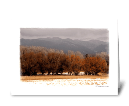 Winter Trees greeting card