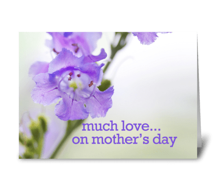 Much Love... On Mother's Day greeting card