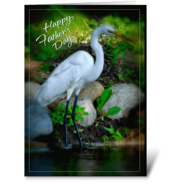 Great White Egret greeting card