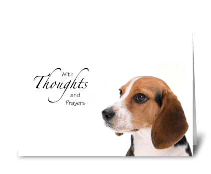 Dog thoughts and prayers greeting card