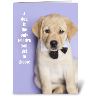 Yellow Lab Funny Relative Card greeting card
