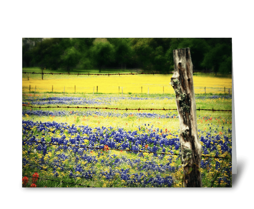 Blue Along the Highway greeting card