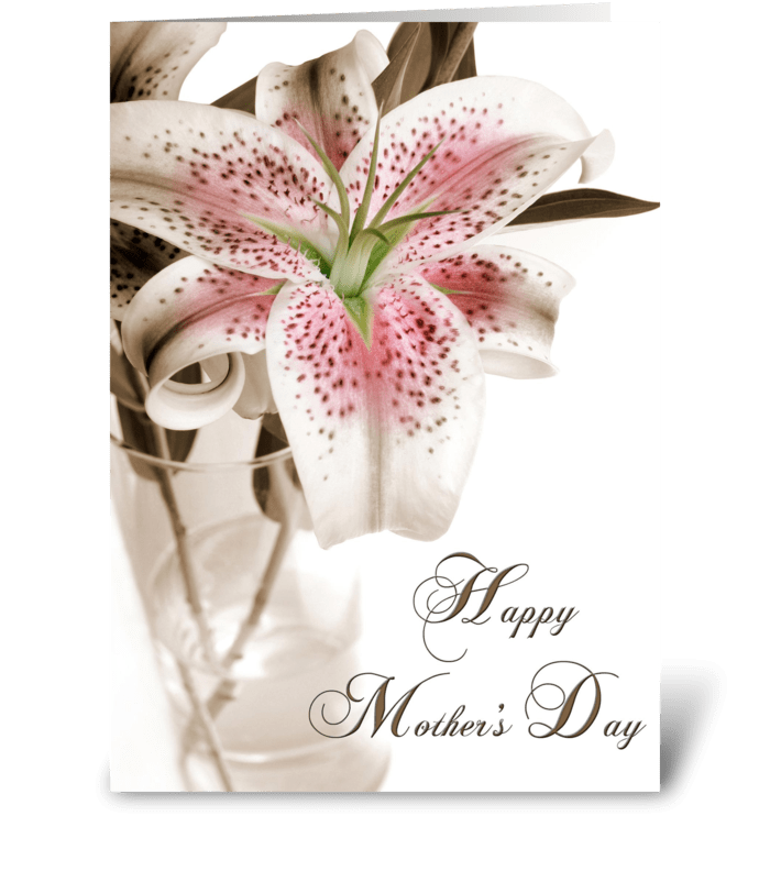 Mother's Day Stargazer Lily greeting card