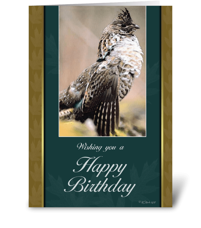 Grouse Birthday Card greeting card