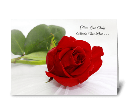 Romantic Red Rose I Love You greeting card