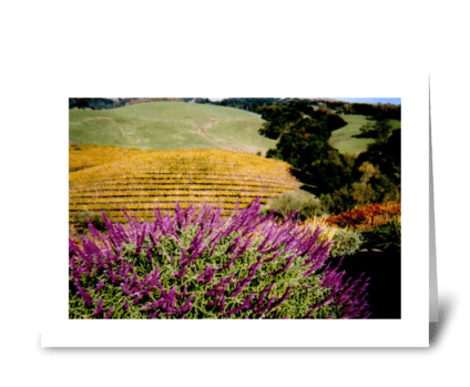 Napa Valley in Autumn greeting card