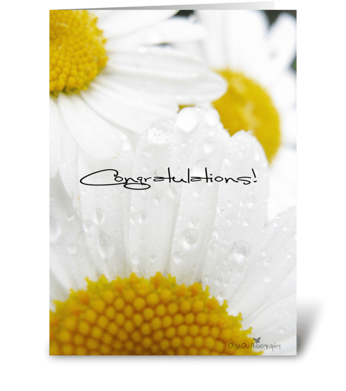 Congratulations with daisies greeting card